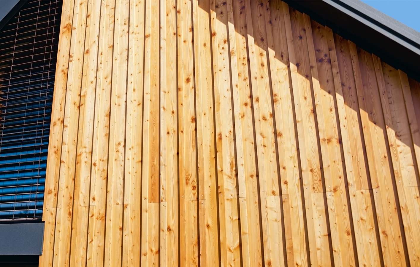 Neubau mit Holzfassade in Bodendeckelschalung.
